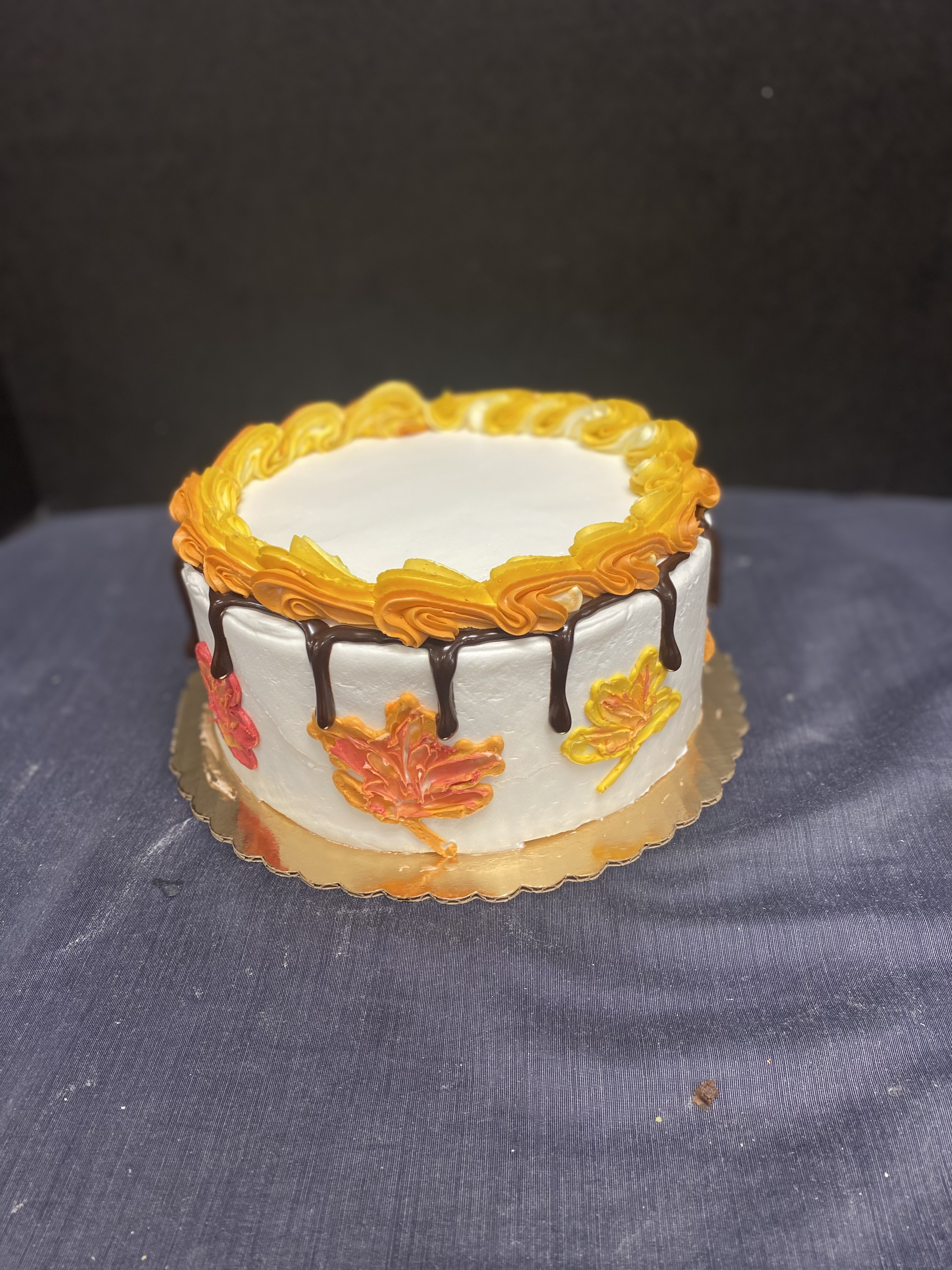 IMG_0922Seasonal Cake Gallery